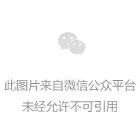 第5天·南丫岛