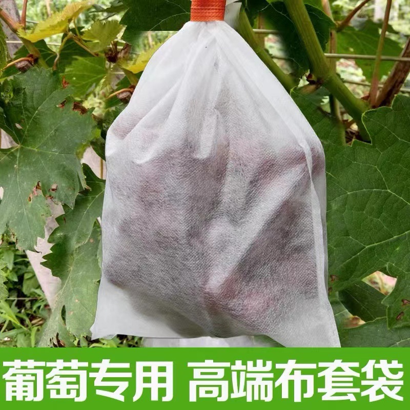 第2天·滨海湾花园
