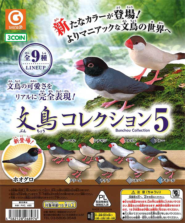 第2天·三清山