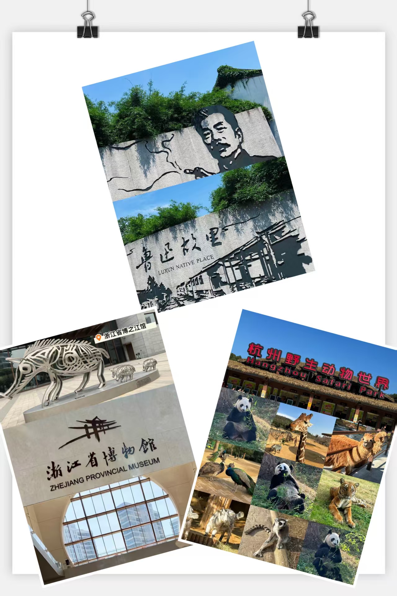 【暑期杭州+绍兴清凉版】“杭野不一Young”绍兴鲁迅故居、浙江省博物馆、杭州野生动物世界亲子2日游